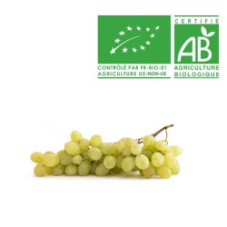 Raisin sans pépin bio