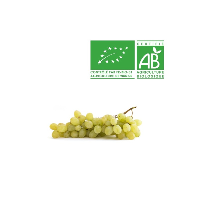 Raisin sans pépin bio
