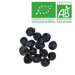 Prune Datil Bio