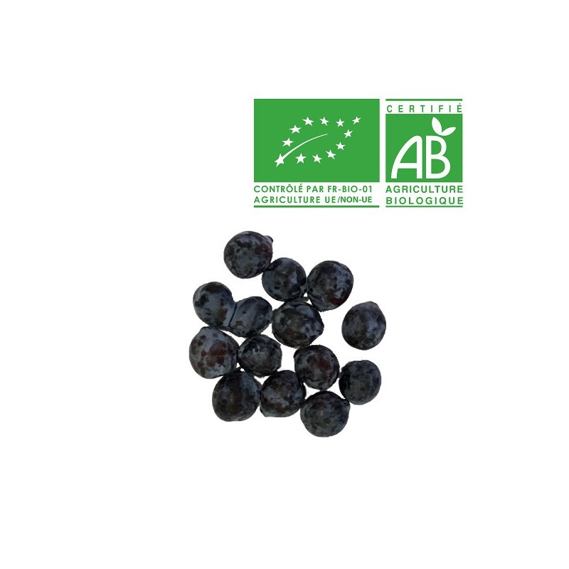 Prune Datil Bio