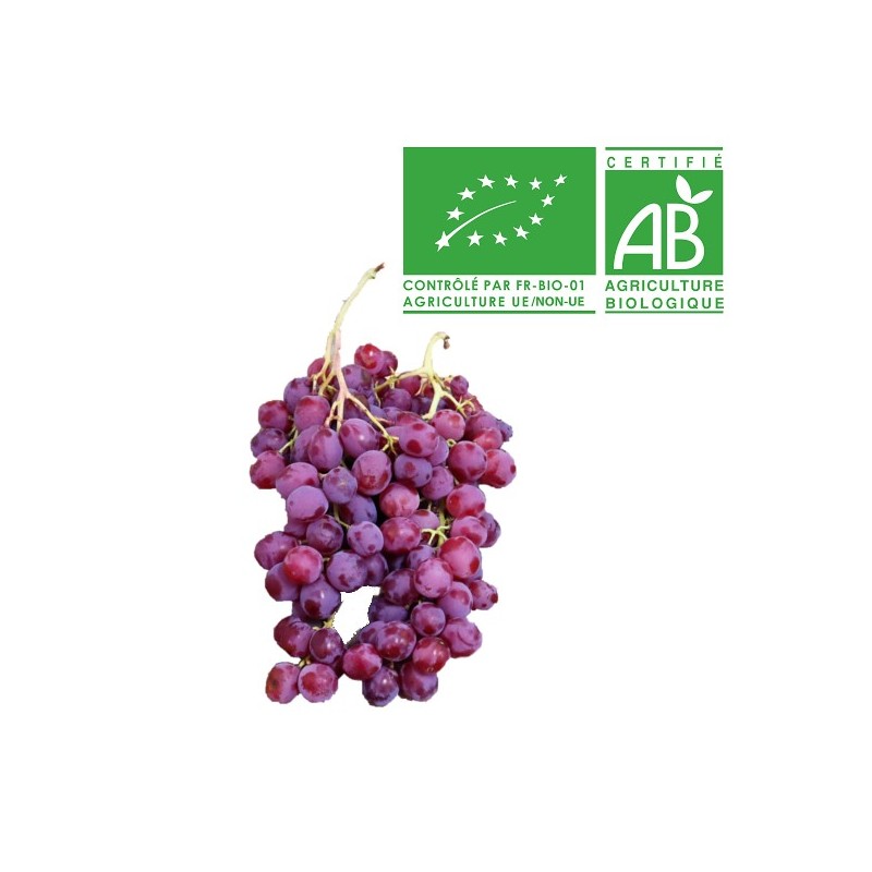 Raisin Italia rubibio Raisin Italia rubibio