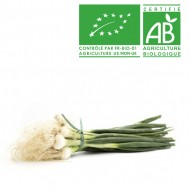 Oignons Blancs bio