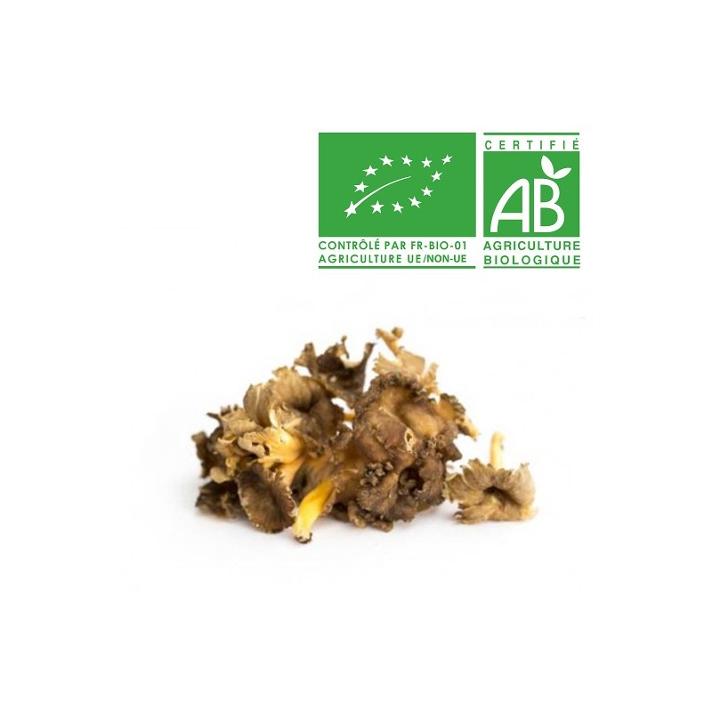 Champignons chanterelle bio