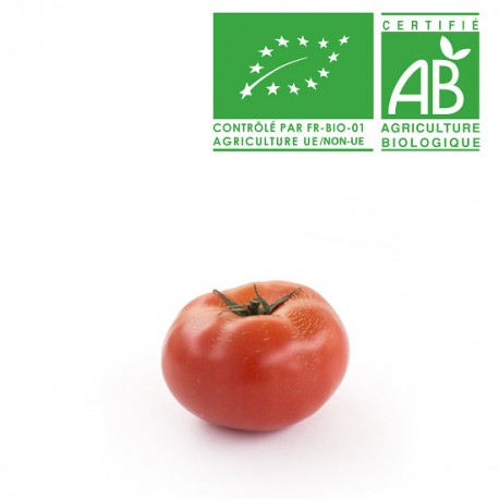 Tomate ronde bio