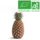 Ananas Pain de sucre  bio