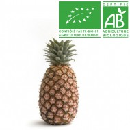 Ananas Cayenne bio