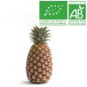 Ananas Cayenne bio