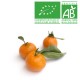 Clémentine Corse bio