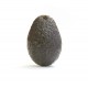 Avocat cal.26/28 Bio