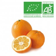 Orange Amère Bio