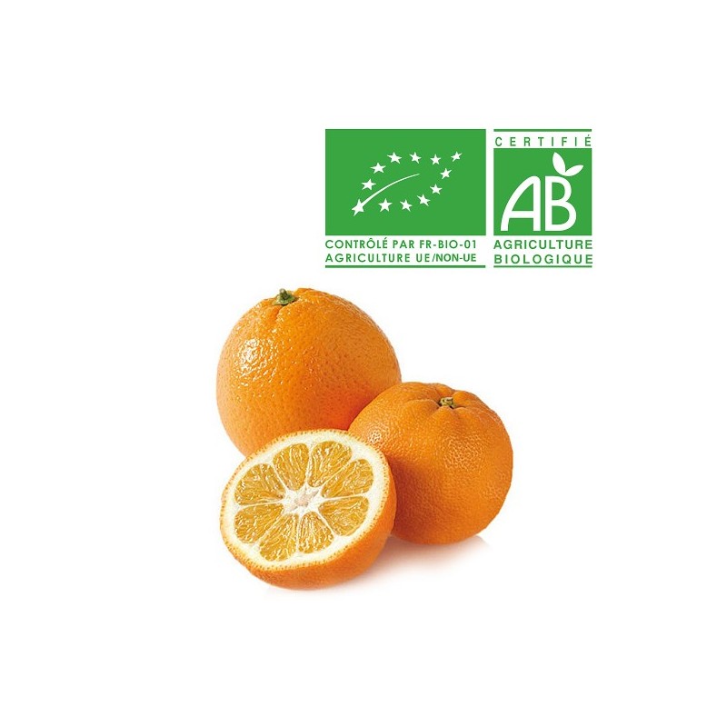 Orange Amère Bio