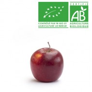 Pomme Story bio