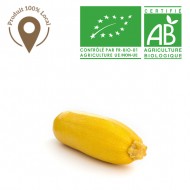 Courgette jaune Bio