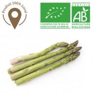 Asperge verte longue bio