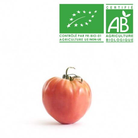 Tomate Coeur de boeuf bio