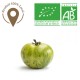 Tomate  Zébra bio