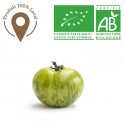 Tomate  Zébra bio