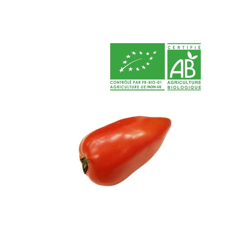 Tomates Cornue Bio