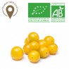 Tomate cerise jaune bio