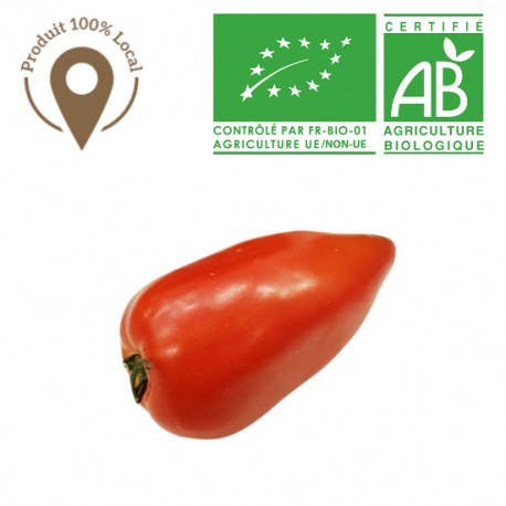 Tomate Cornu