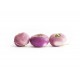 Navet violet nouveau bio 