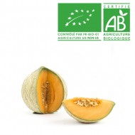 Melon français bio cal.15