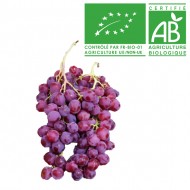 Raisin Muscat rose bio