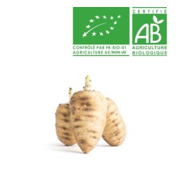 Cerfeuil tubéreux Bio