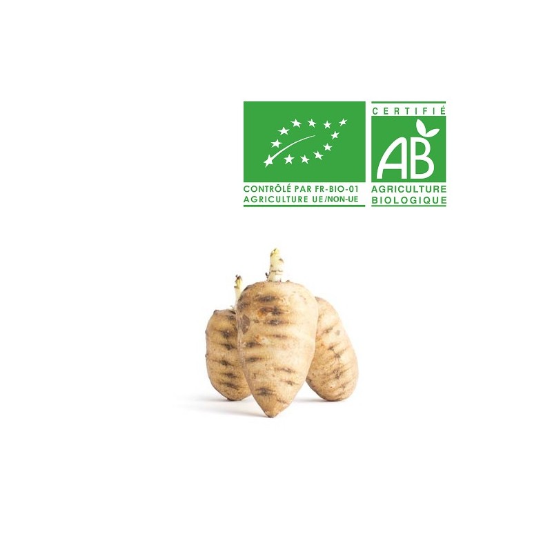 Cerfeuil tubéreux Bio