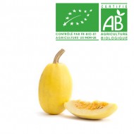 Courge spaghetti Bio