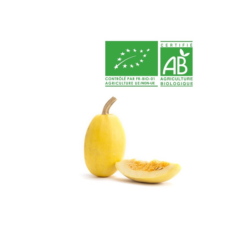 Courge spaghetti Bio Courge spaghetti Bio
