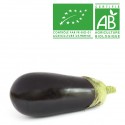 Aubergine Bio