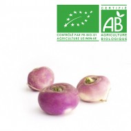 Navet violet nouveau bio 