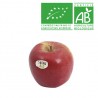 Pomme Swing bio