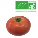Tomate ronde rose Bio