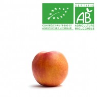 Nectarine jaune française Bio