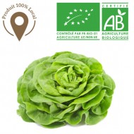 Salade Laitue verte bio