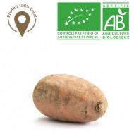 Patate douce rouge bio