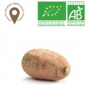 Patate douce rouge bio