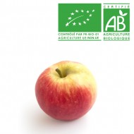 Caisse de pomme Bio