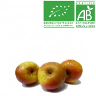 Pomme Reinette d'Armorique Bio