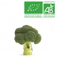 Chou Brocoli Bio