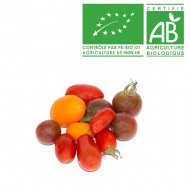 Tomate cerise panachée bio