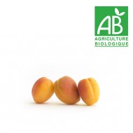 Abricot catégorie 2 Bio