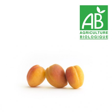 Abricot catégorie 2 Bio