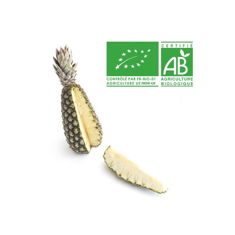 Ananas Pain de sucre bio Ananas Pain de sucre bio