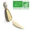 Ananas Pain de sucre bio