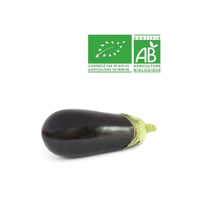 Aubergine bio Aubergine bio