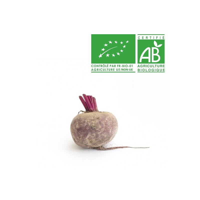 Betterave nouvelle crue bio Betterave nouvelle crue bio