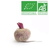 Betterave nouvelle crue bio